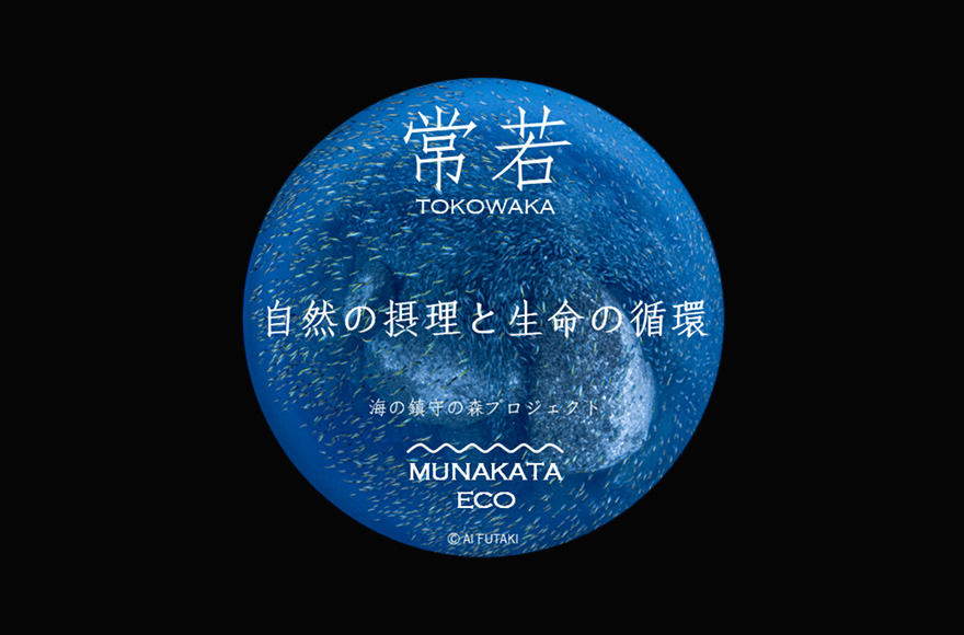 世界遺産「宗像大社神宝館」特別展「神々への美宝」 Photo